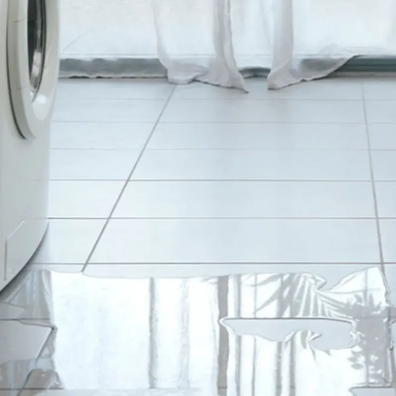 Appliance Leak Cleanup in Cass County, IL