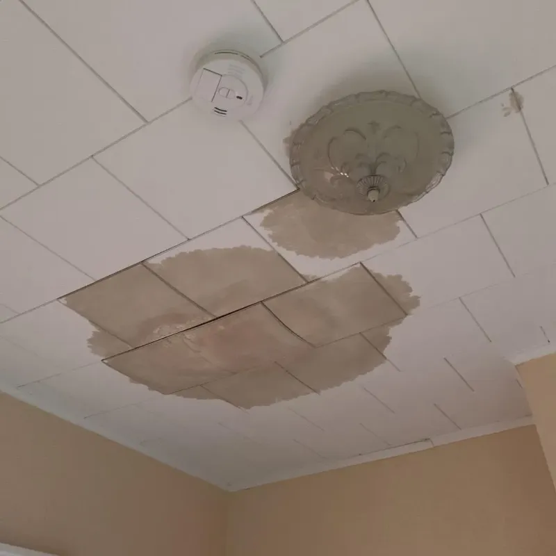 Ceiling Water Damage Repair in Cass County, IL