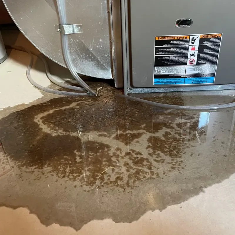 Pipe Burst and Leak Restoration in Cass County, IL